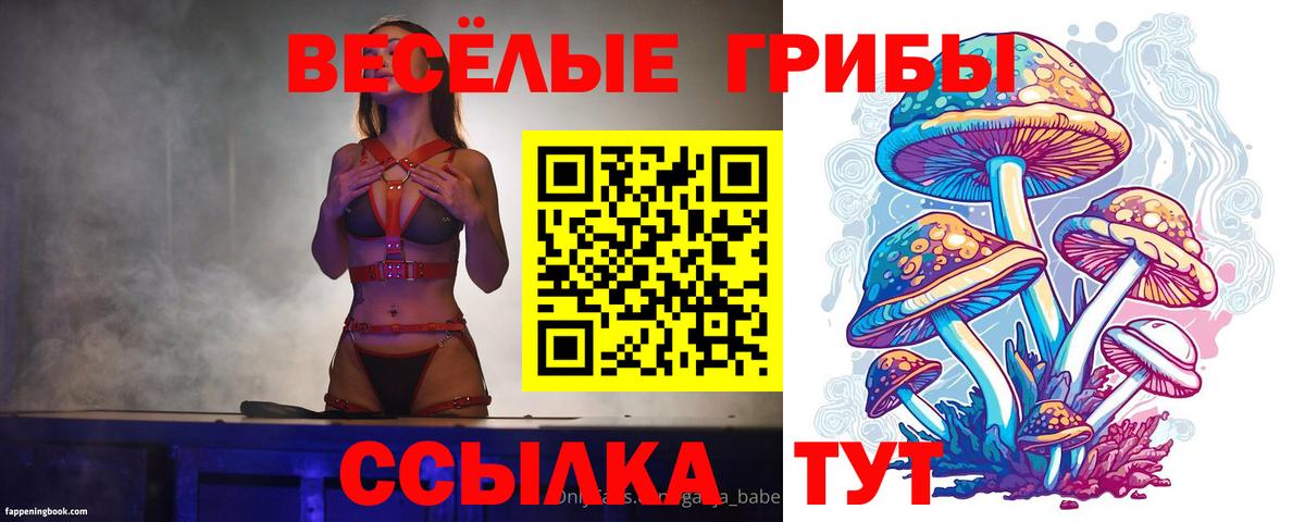 Псилоцибиновые грибы Psilocybine cubensis Боровичи