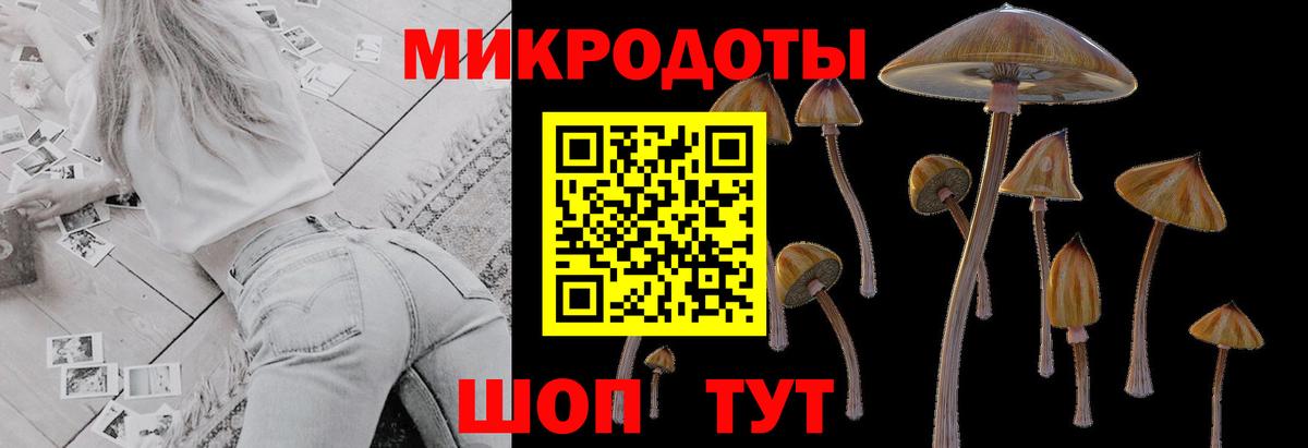 Галлюциногенные грибы мухоморы Боровичи